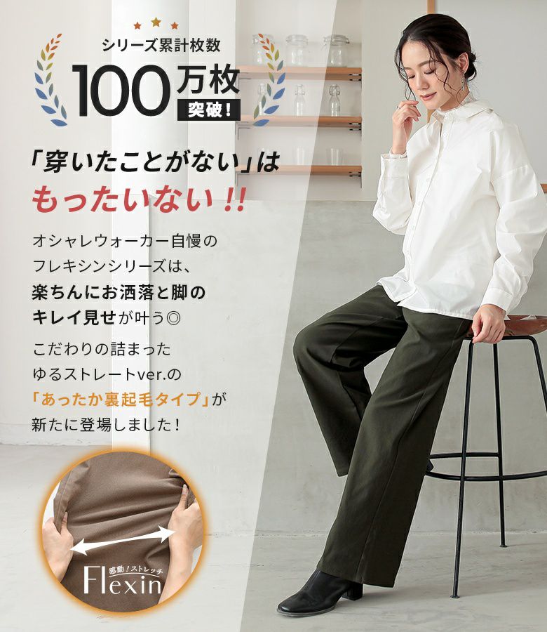 フレキシンシリーズ画像